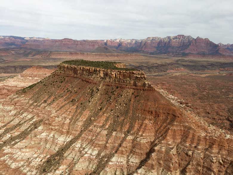 guided tours in zion national park