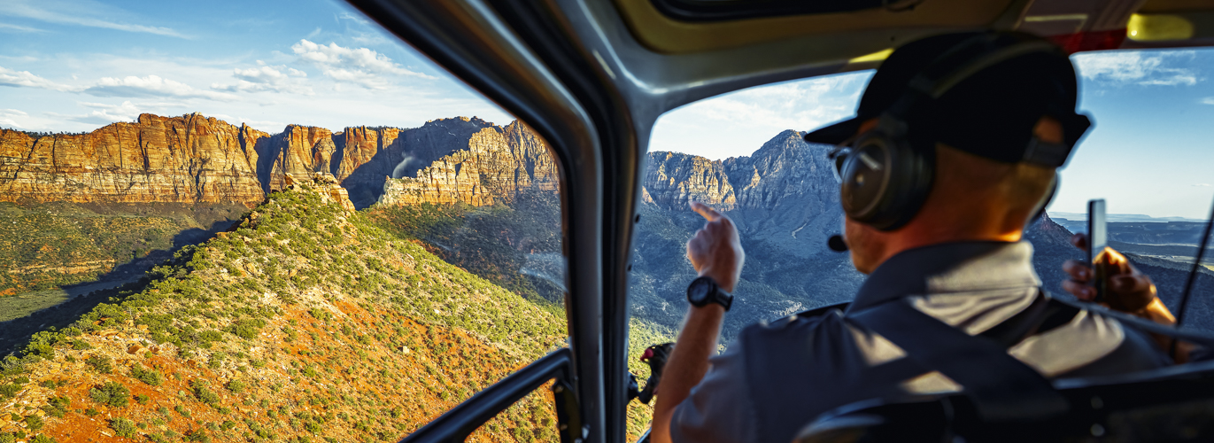 The Best Ways to Experience Spring in Zion