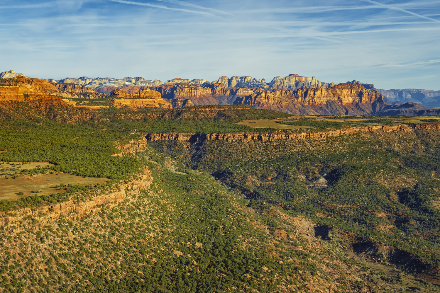 Why Spring is the Best Time to Explore Zion